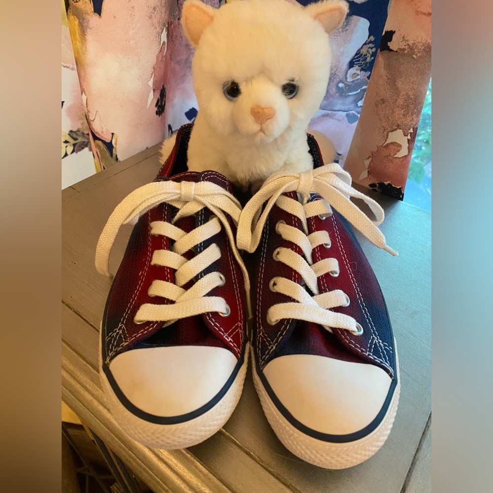 Womens plaid converse 6.5 . Never worn! Like new!